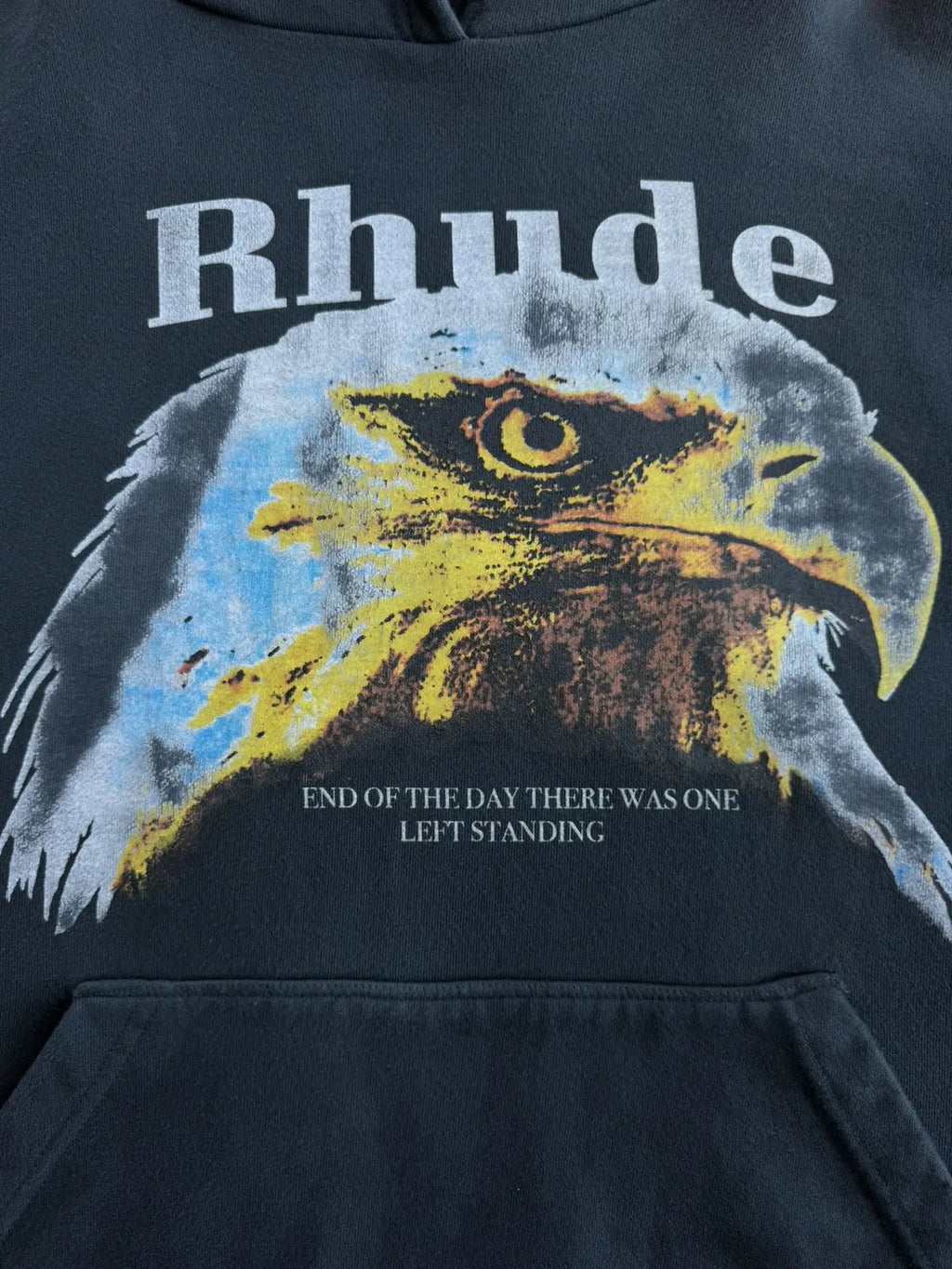 Bald Eagle Hoodie