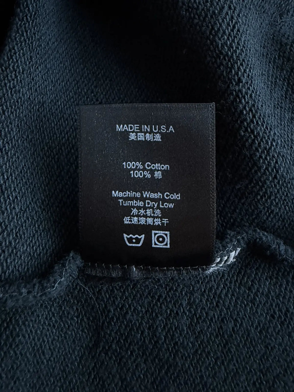 Bald Eagle Hoodie