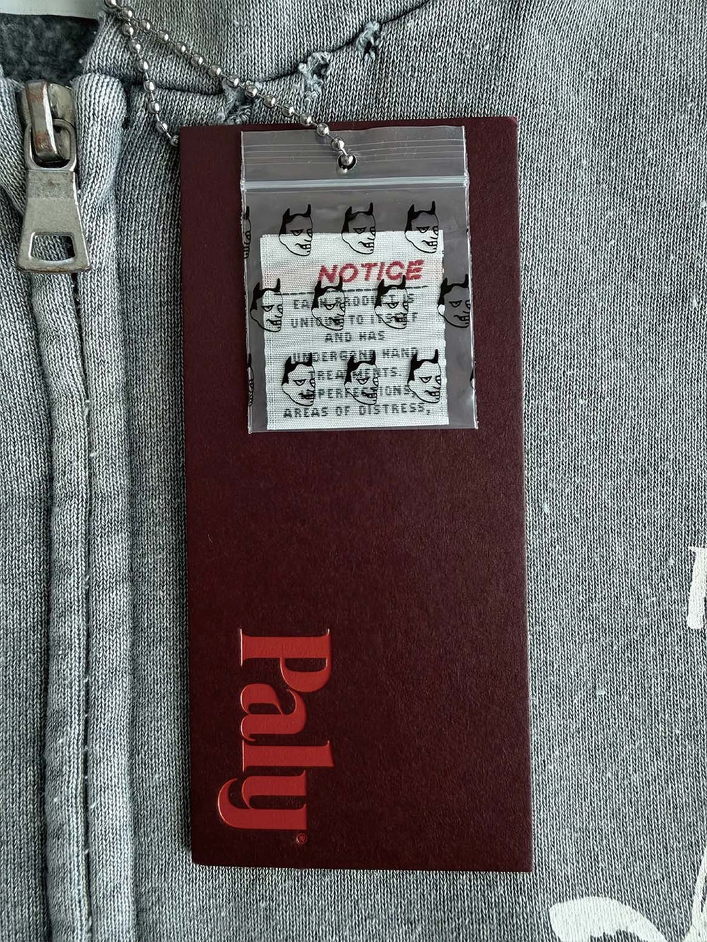 Carrying The Message Hoodie
