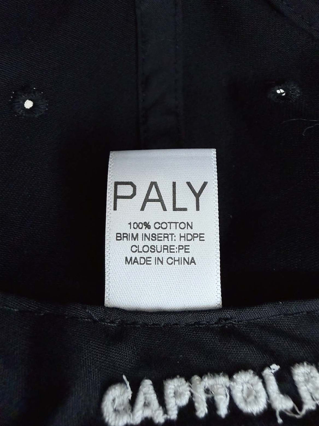 Twin Palms Hat