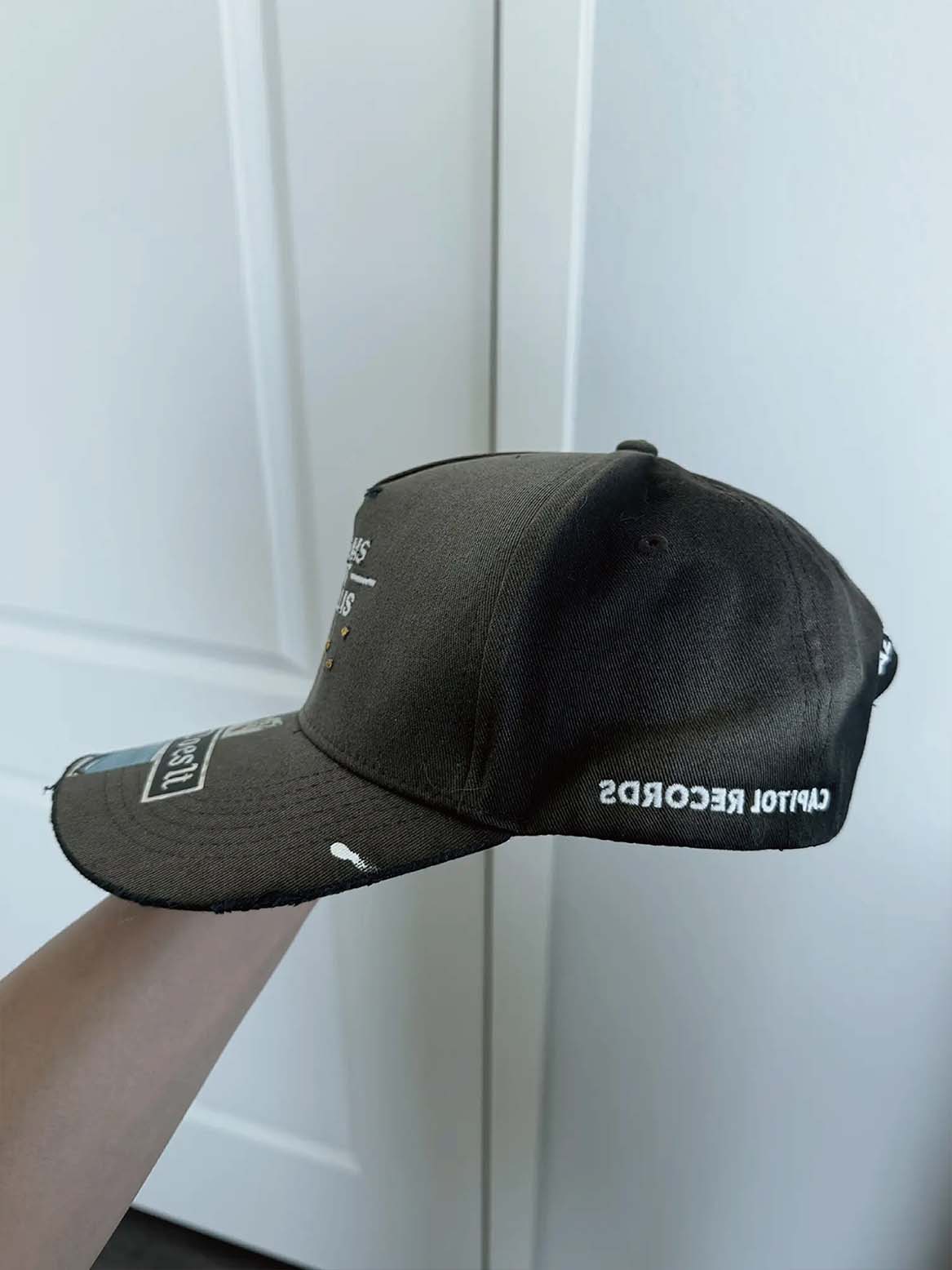 Twin Palms Hat